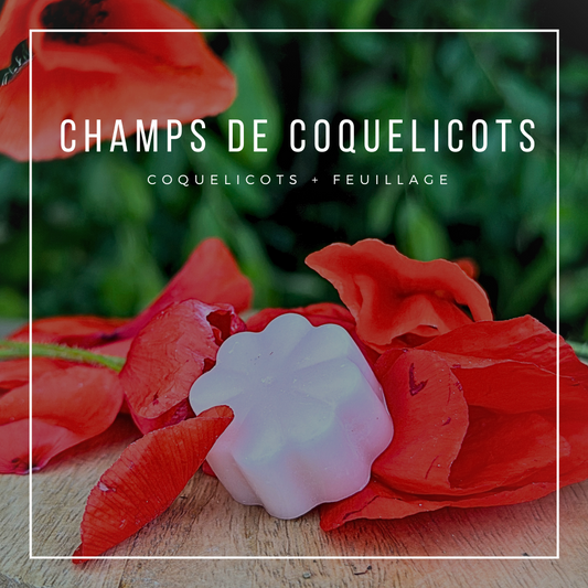 CHAMPS DE COQUELICOTS